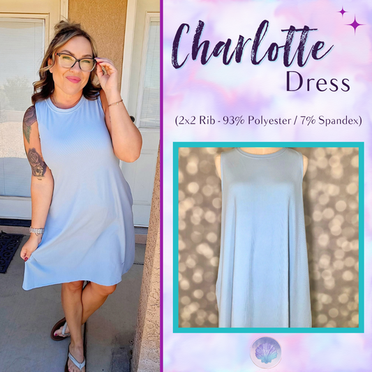 LuLaRoe Charlotte Dress - Solid Powder Blue Sleeveless A-Line Dress with Pockets