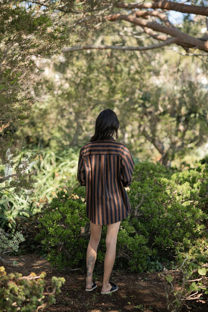 LuLaRoe Polly Set - Espresso Pinstripe