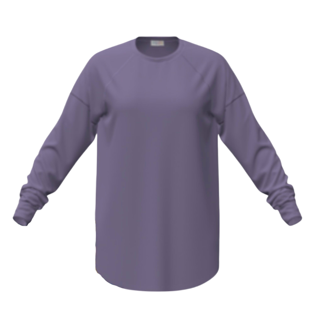 LuLaRoe Erin raglan sleeve top in solid lavender dusk purple, featuring long sleeves, relaxed fit, curved hem, and soft terry knit fabric, shown on a white background.