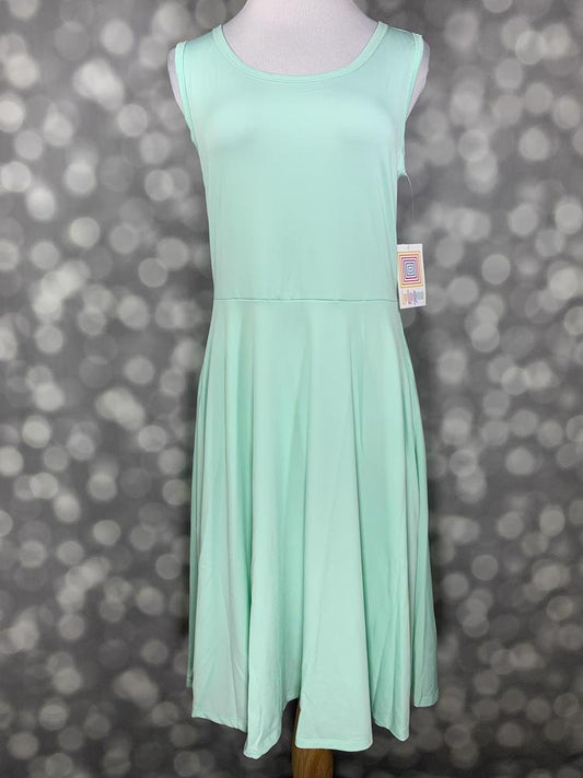 LuLaRoe Nicki sleeveless dress in a soft mint green